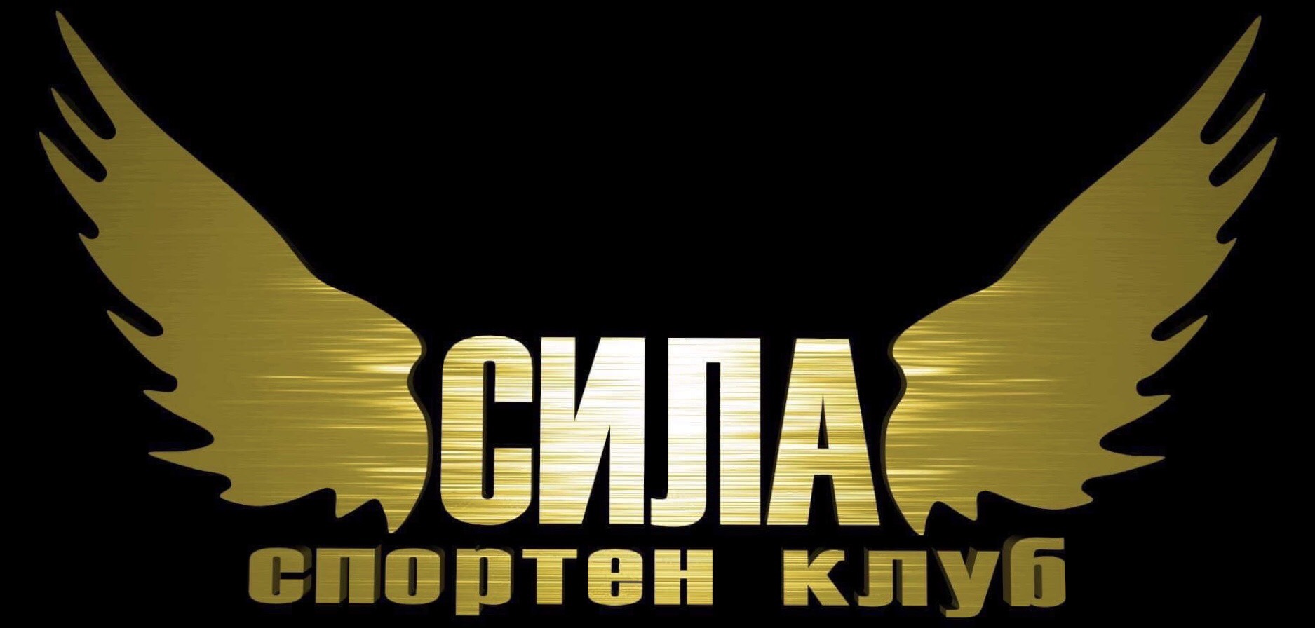 Logo Image